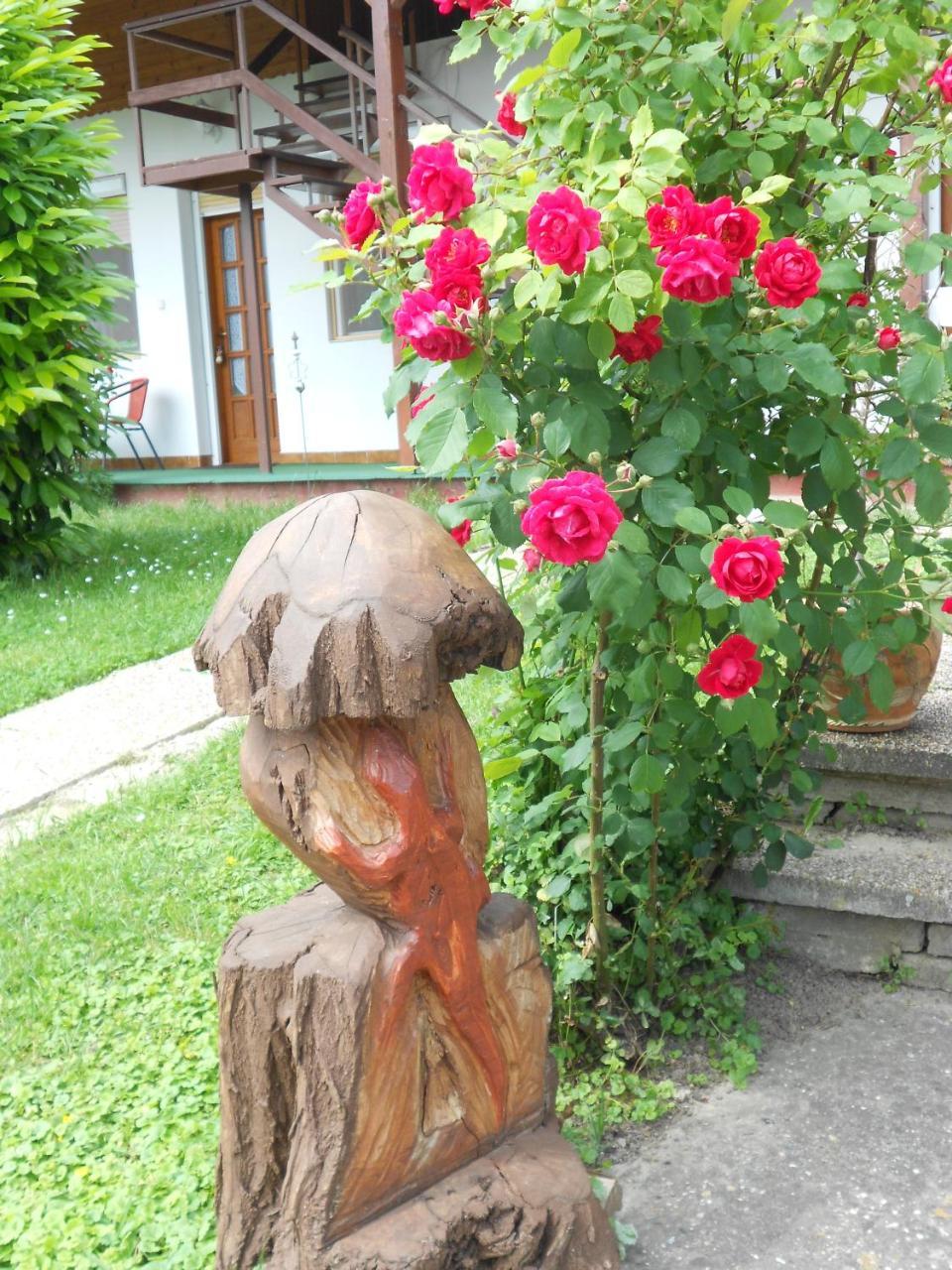 Remser Haus Zalakaros Exteriér fotografie